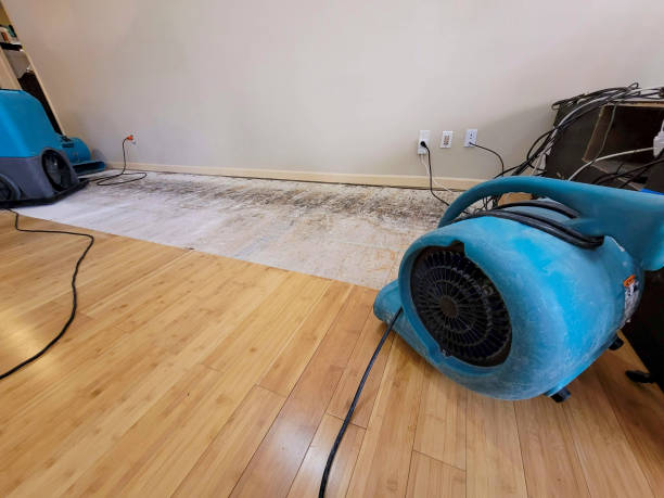 Professional Emergency Water Damage technician working in Lewisville, WA
